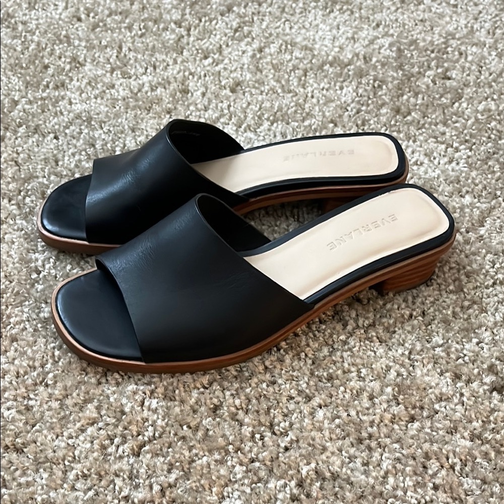 Everlane Black Leather Open-Toe Slide Mules with Brown Stacked Heel